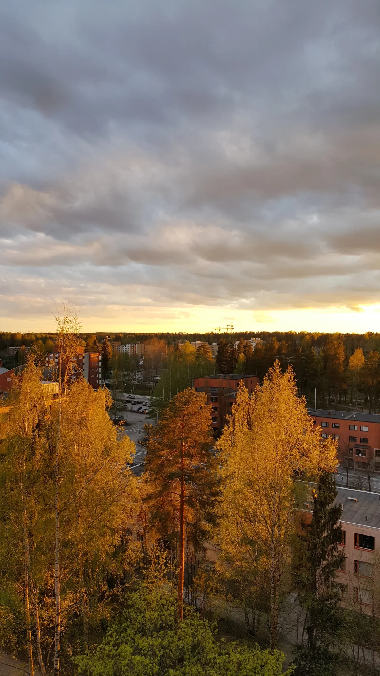 Koivukylä
