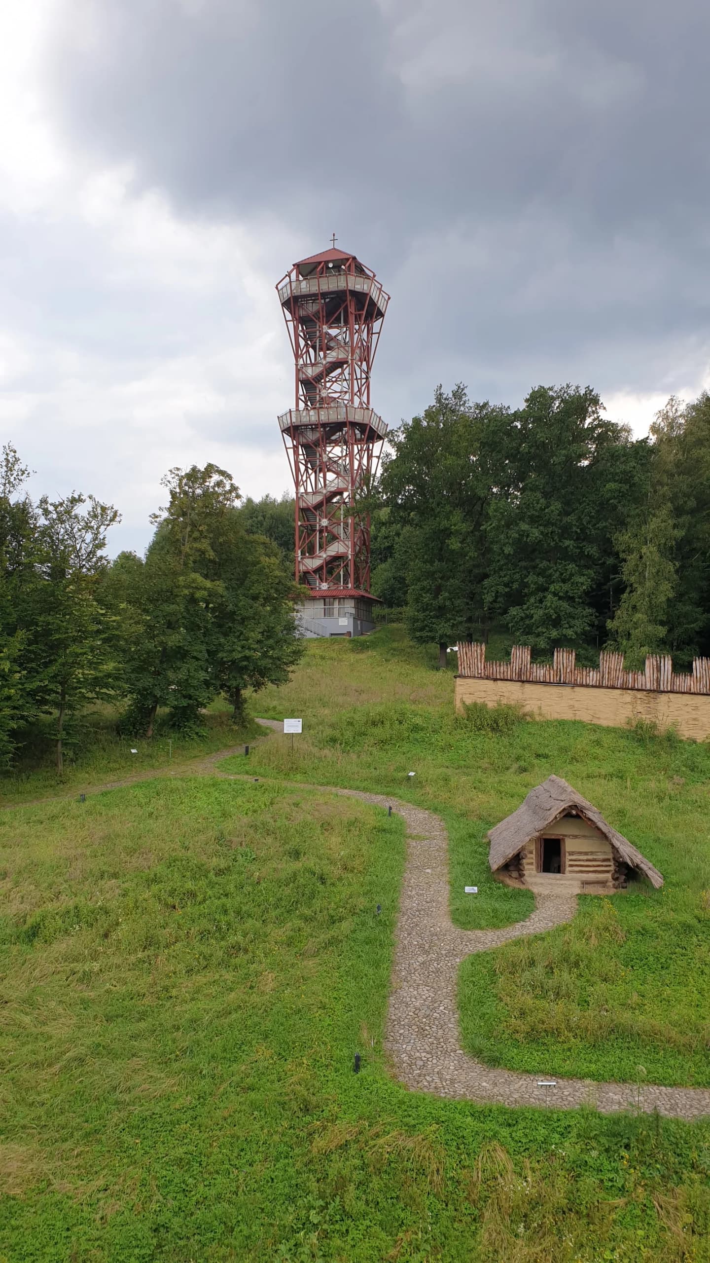 Trzcinica