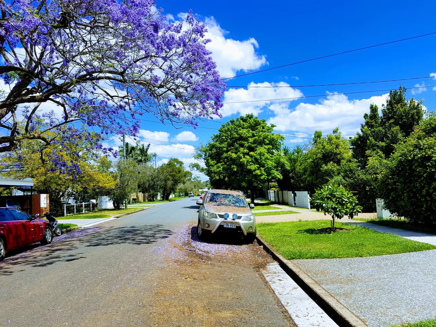 Mitchelton