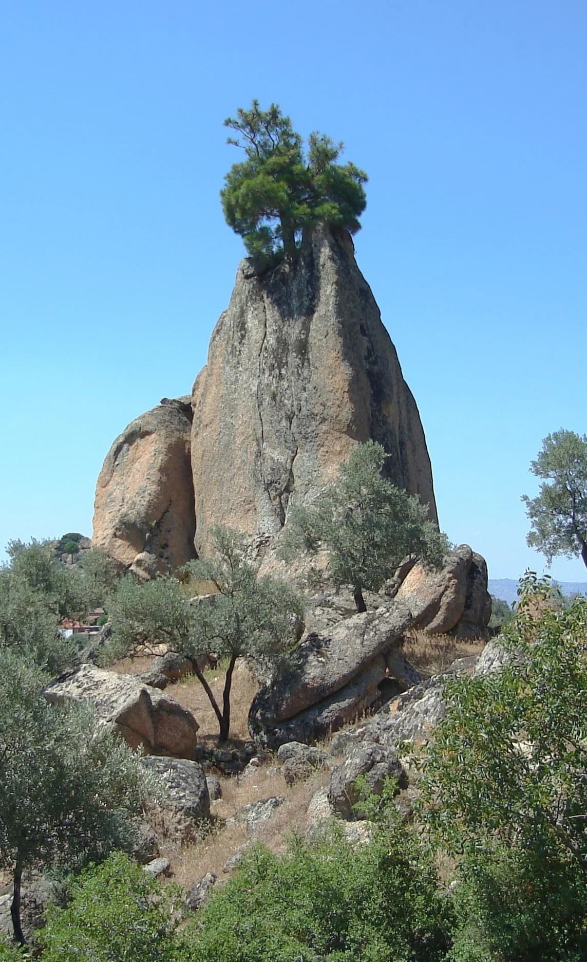 Soğukoluk