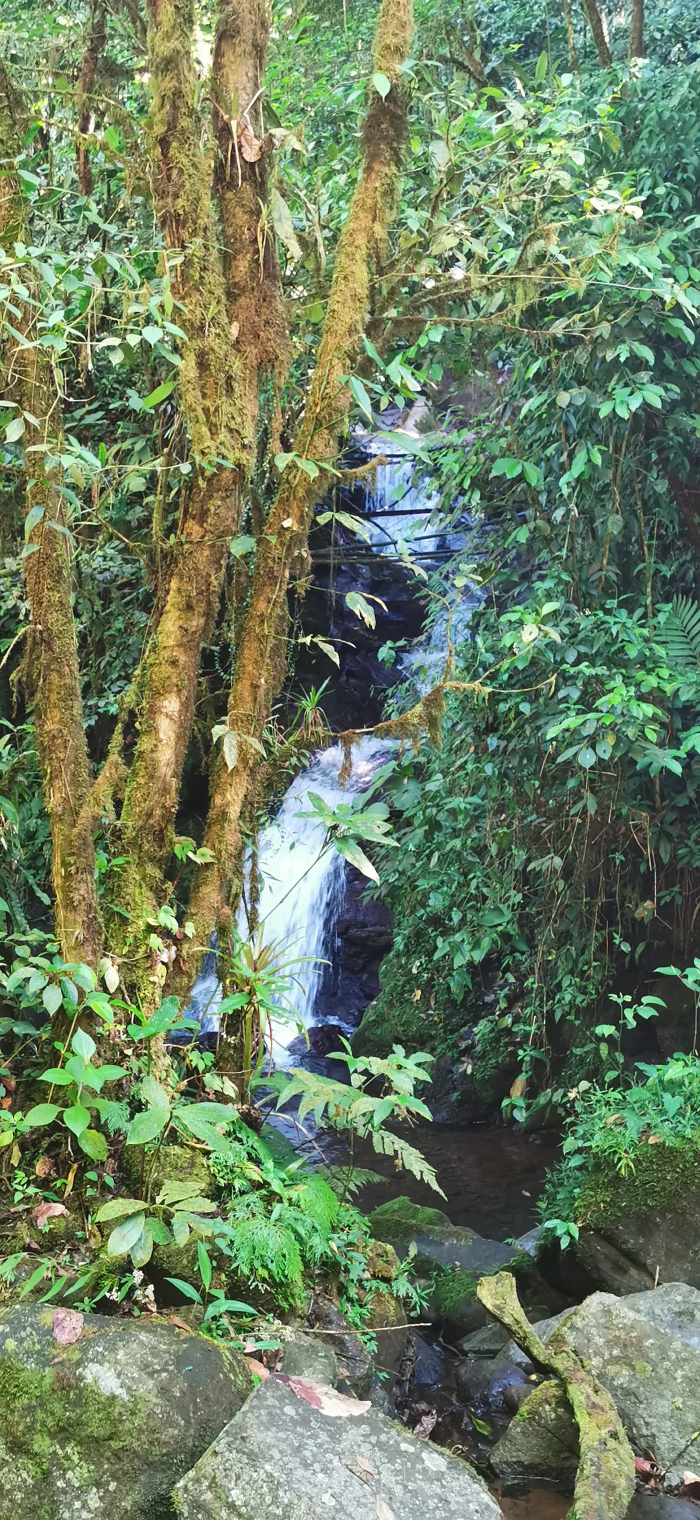 Quesada