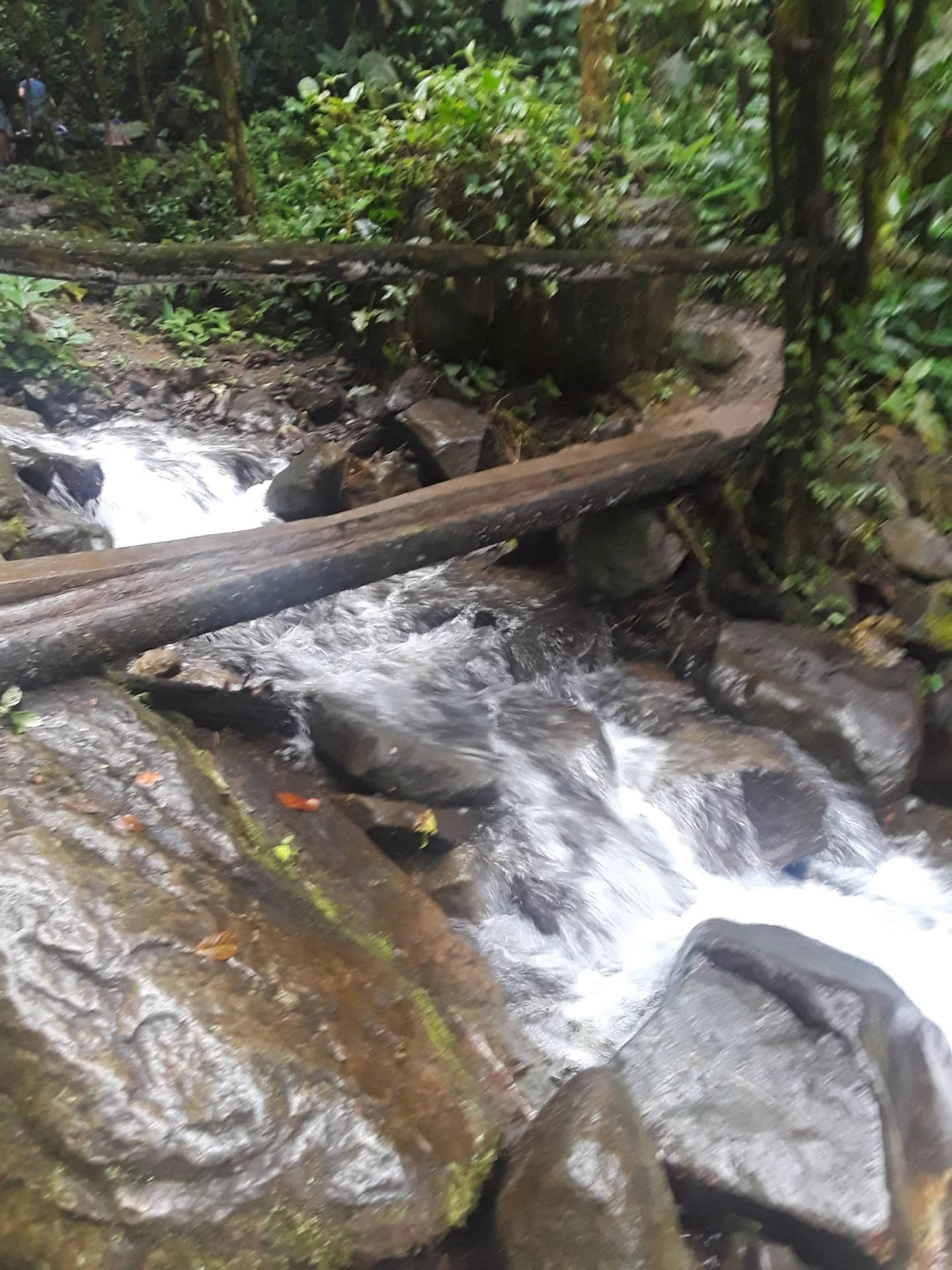 El Triunfo