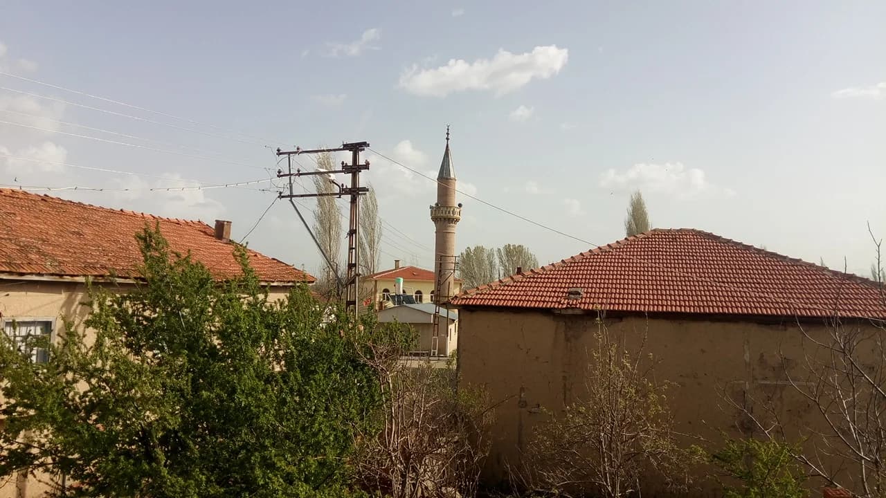 Ülfeciler