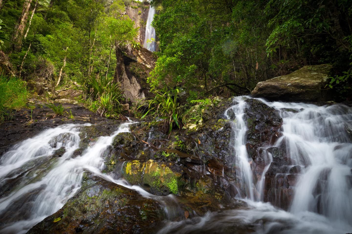 Springbrook