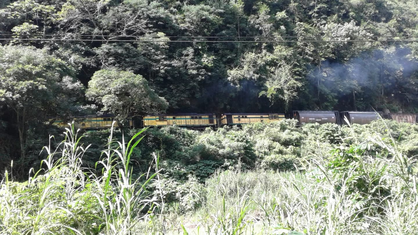 Bog Walk