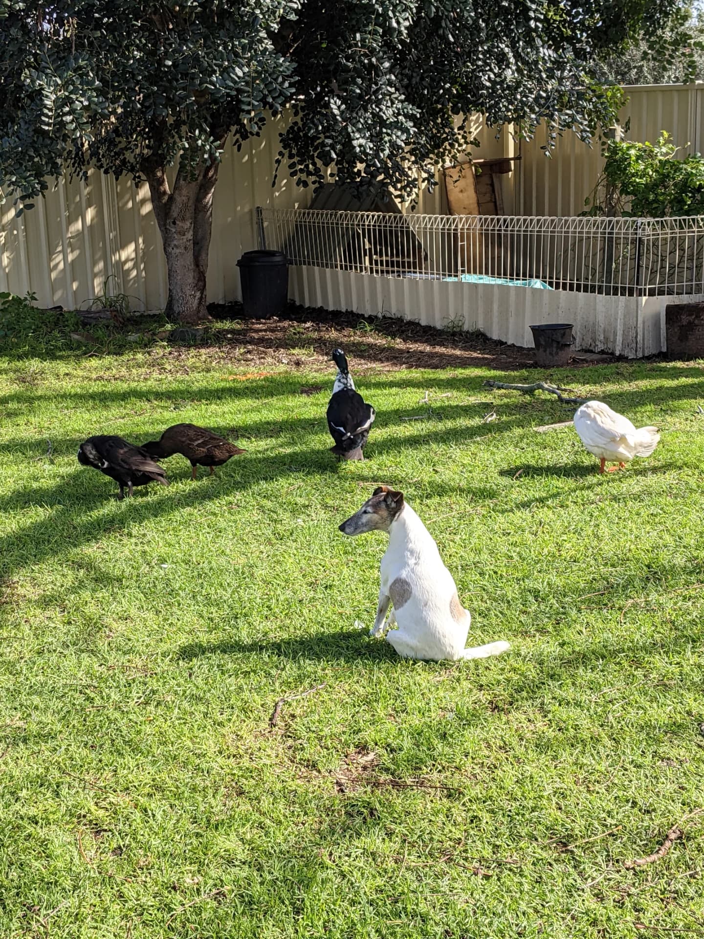 Joondalup