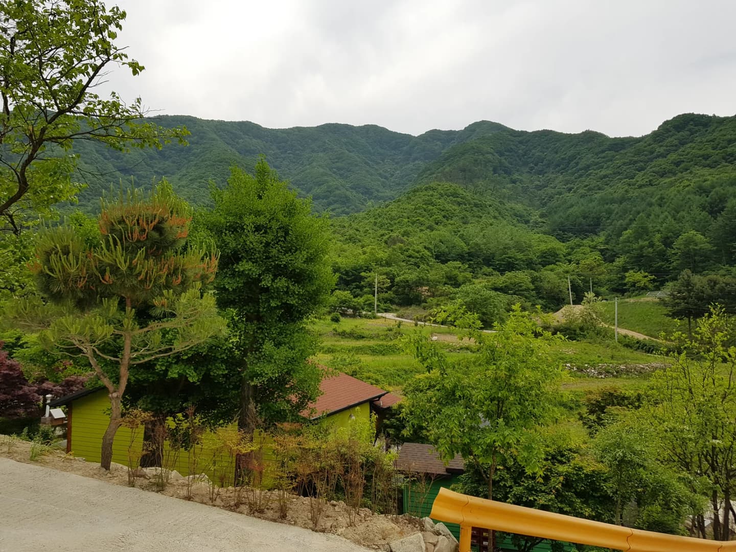 Wanju