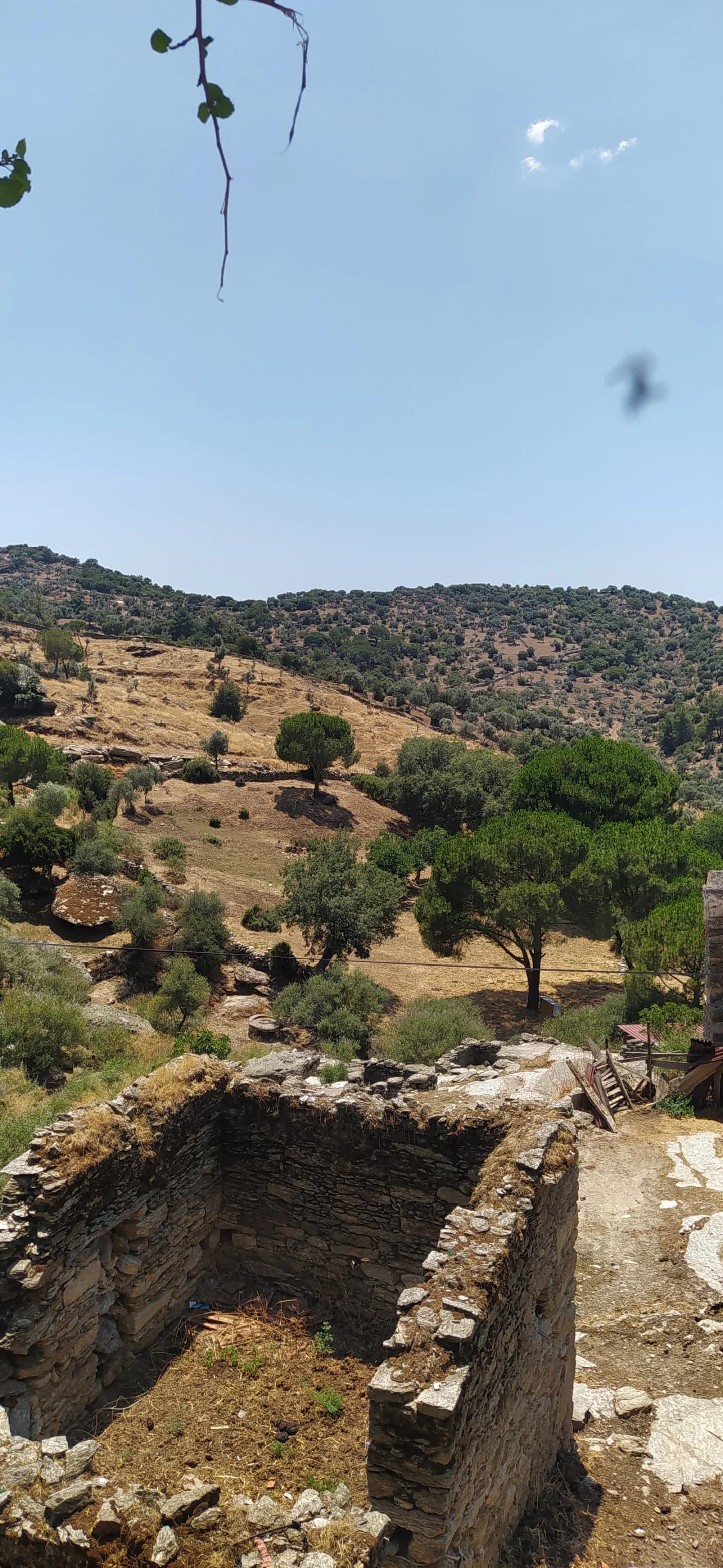 Bayırdamı