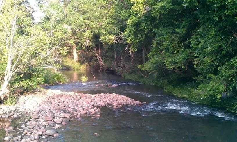 Yandina