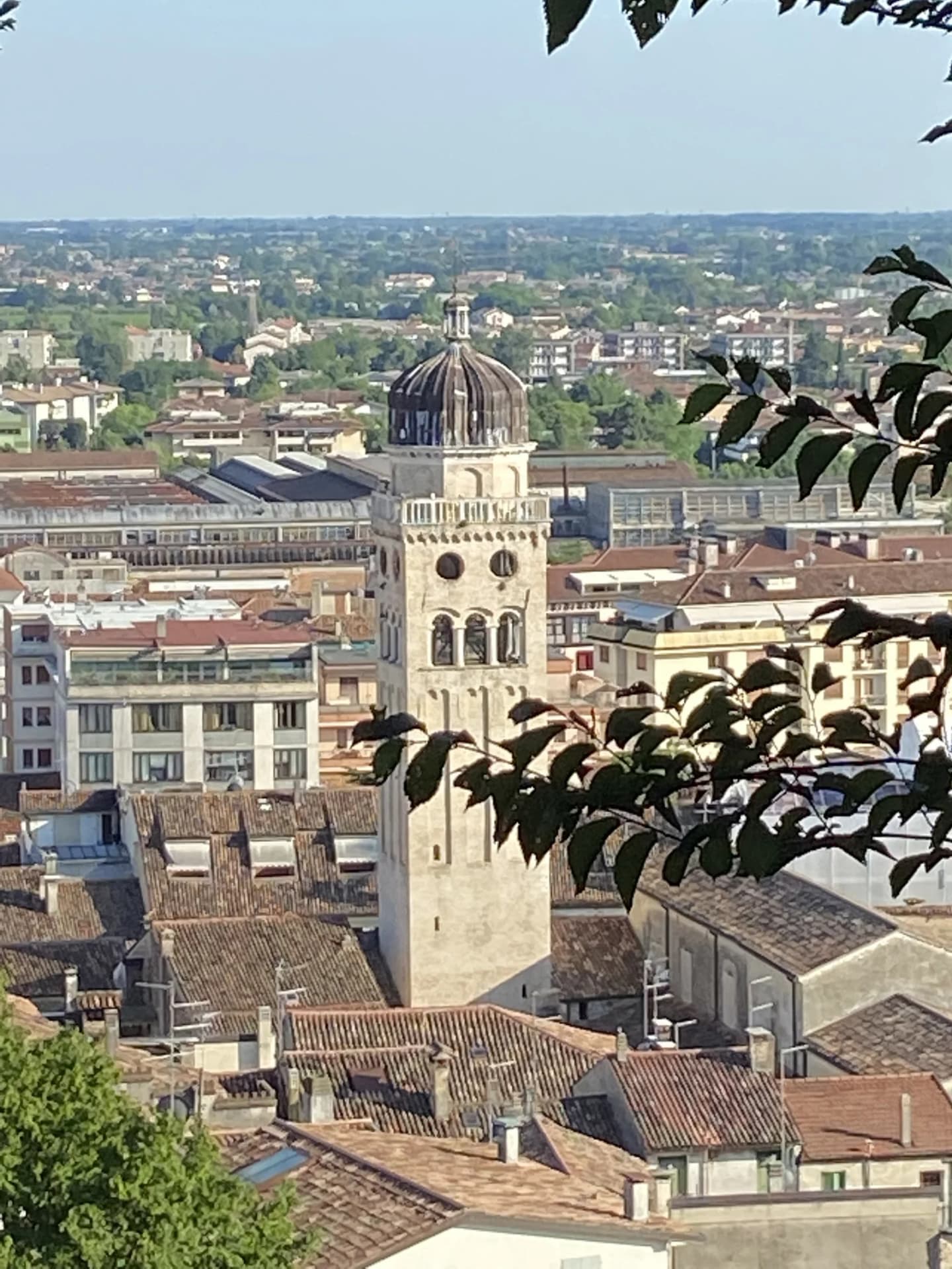 Conegliano