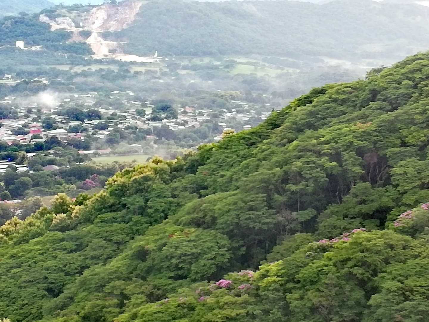 Nicoya