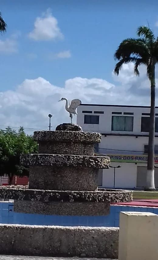 Bom Jardim