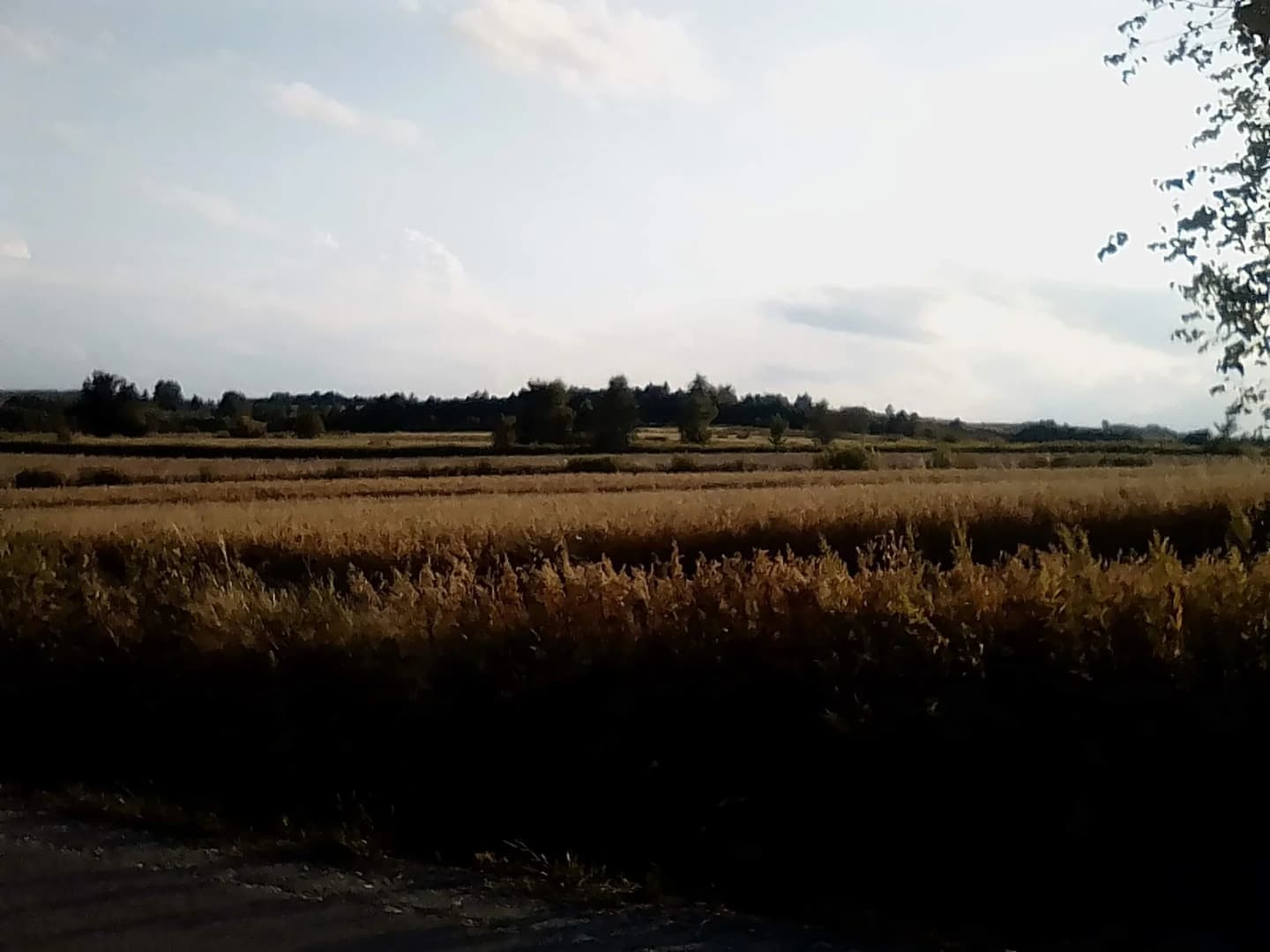 Słotowa