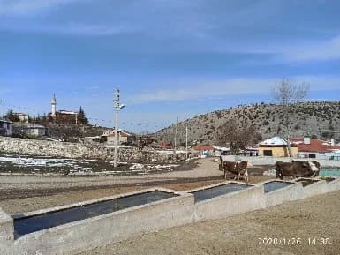 Güneysaray