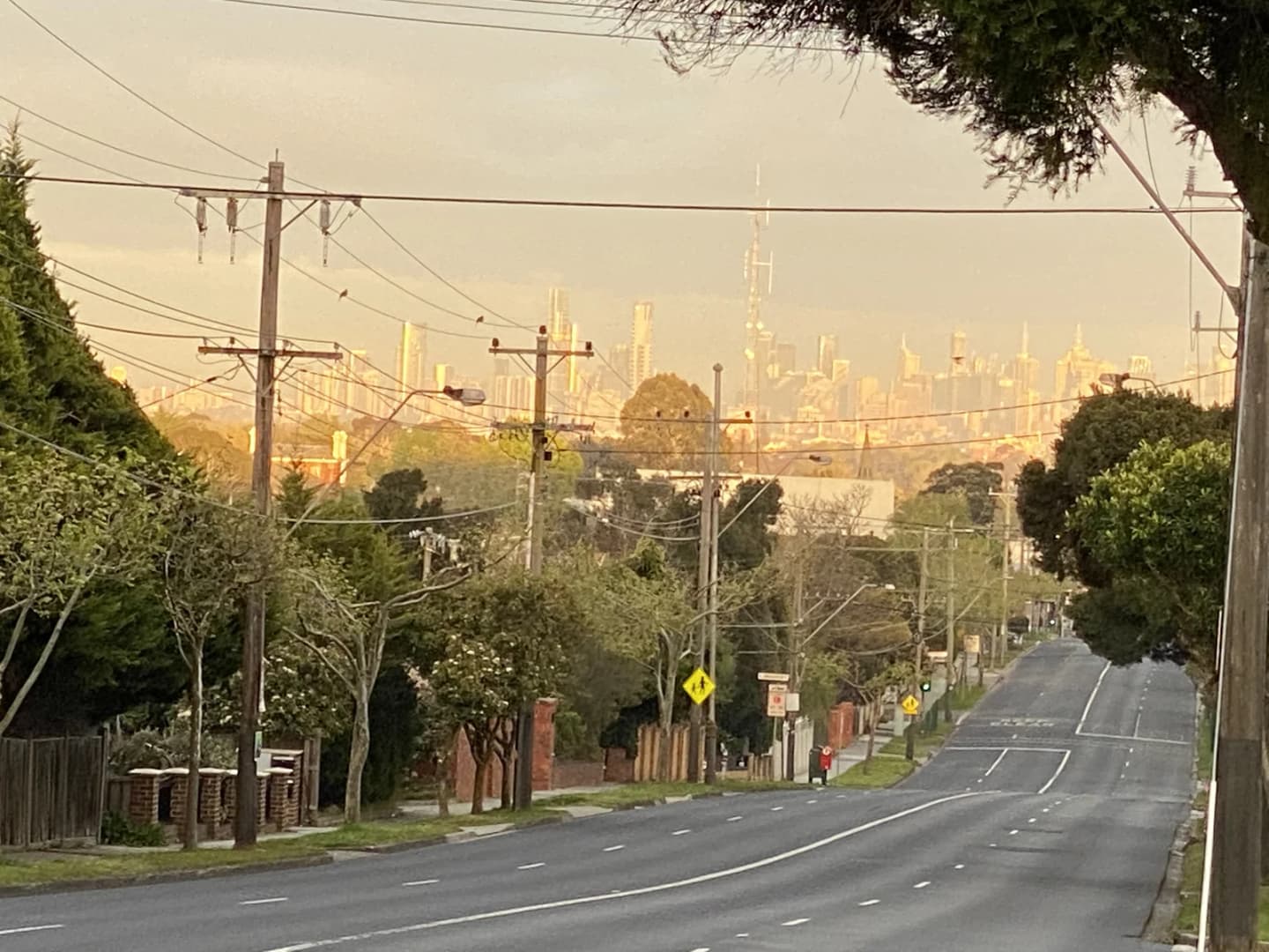 Surrey Hills