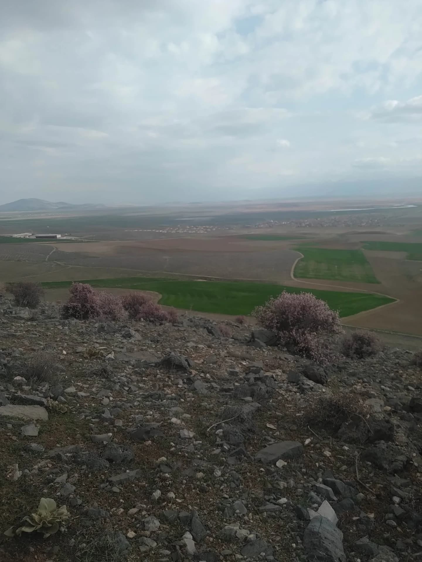Derekarabağ