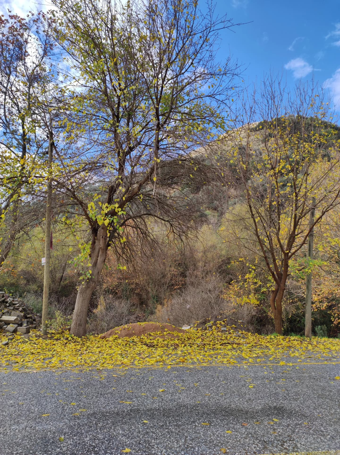 Kalfaköy