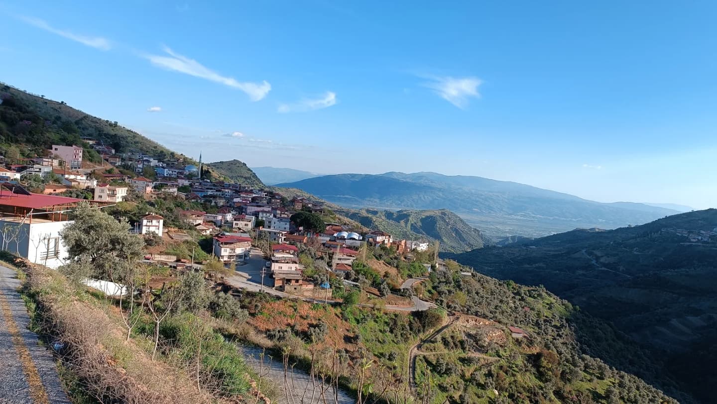 İncealan