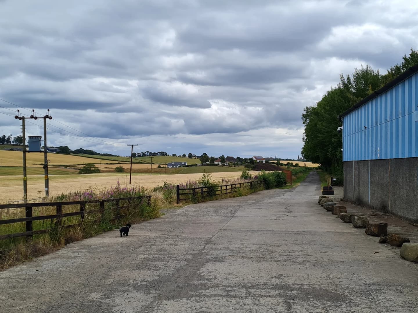 Crossford