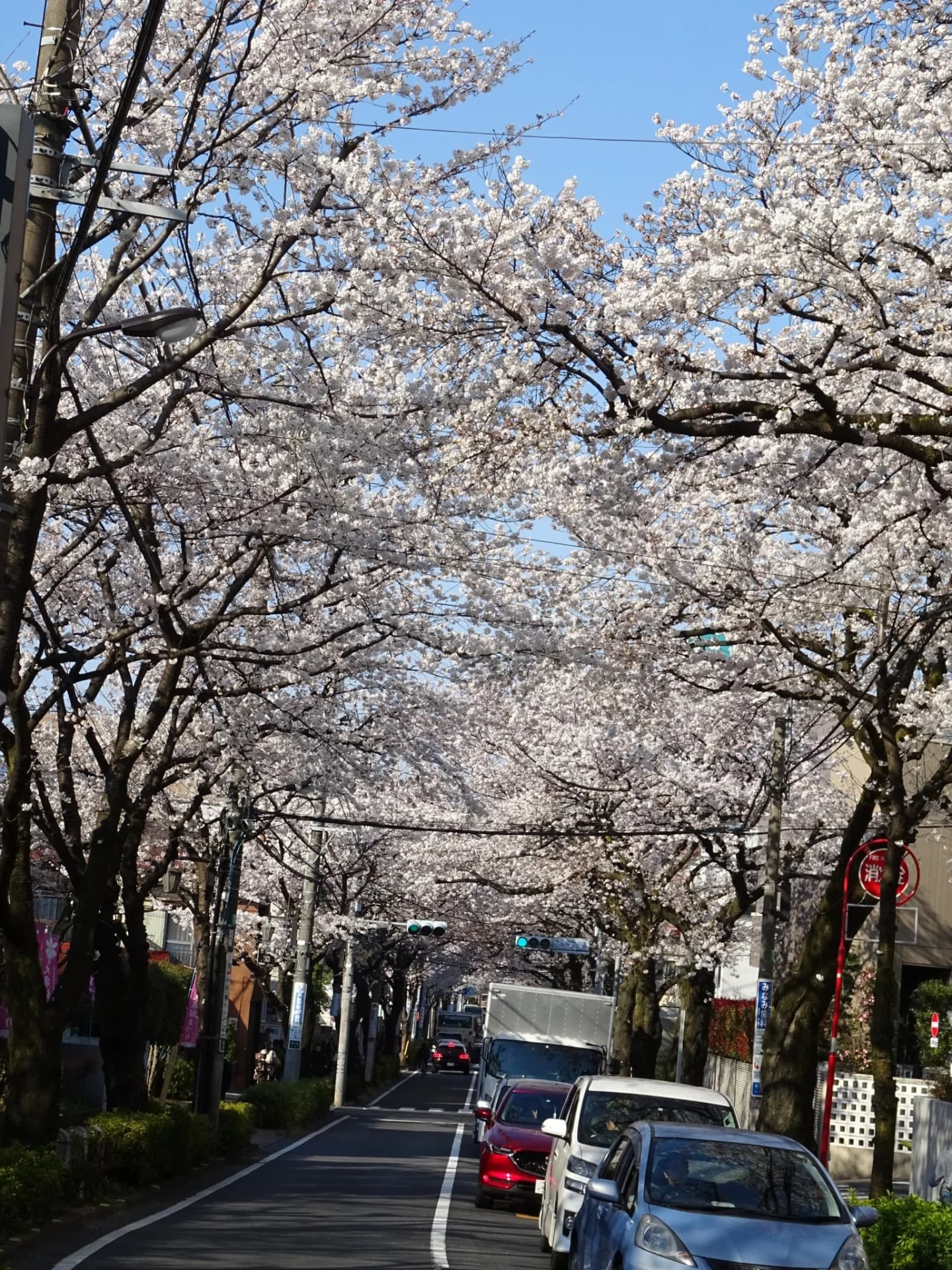 Ōizumi-gakuenchō