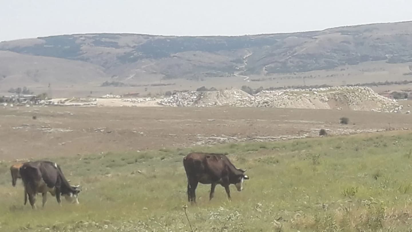 Efeköy