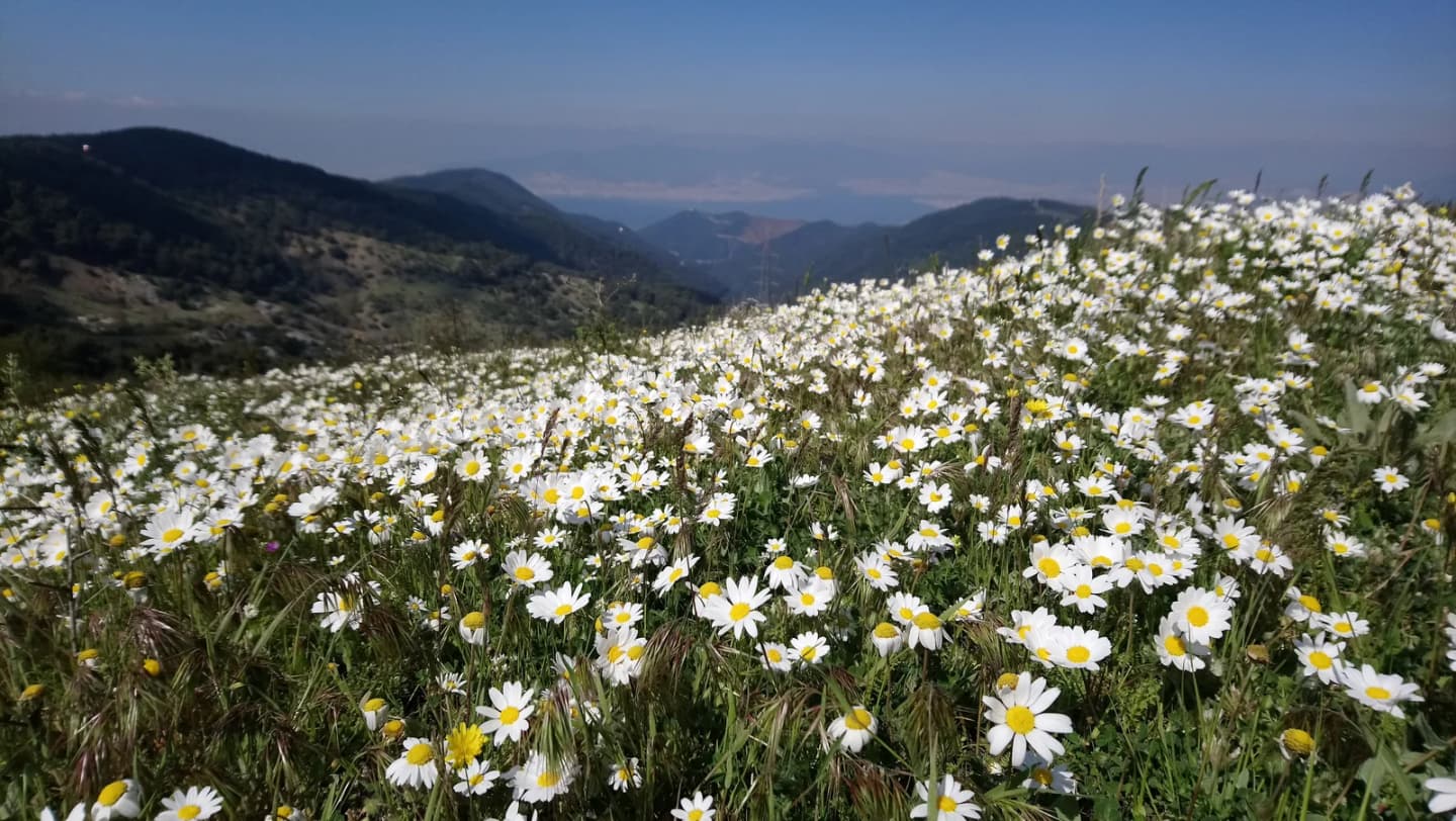 Karabağlar