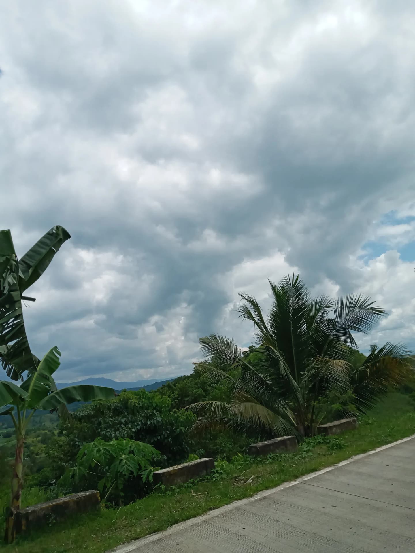 Ilog