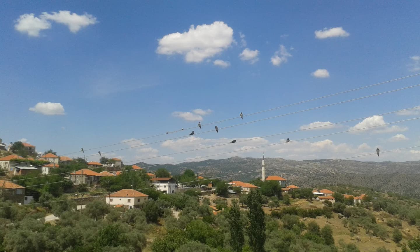 Yağcıdere