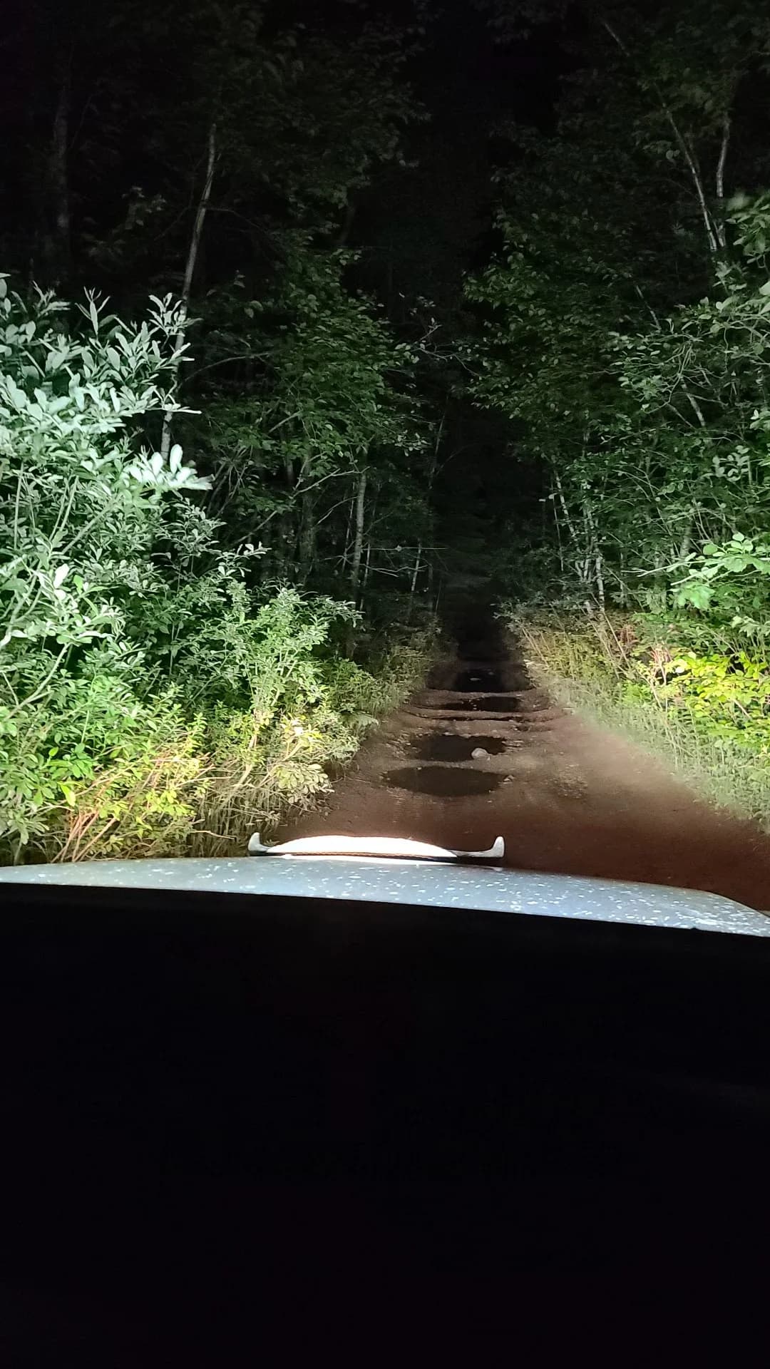 Lingan Road