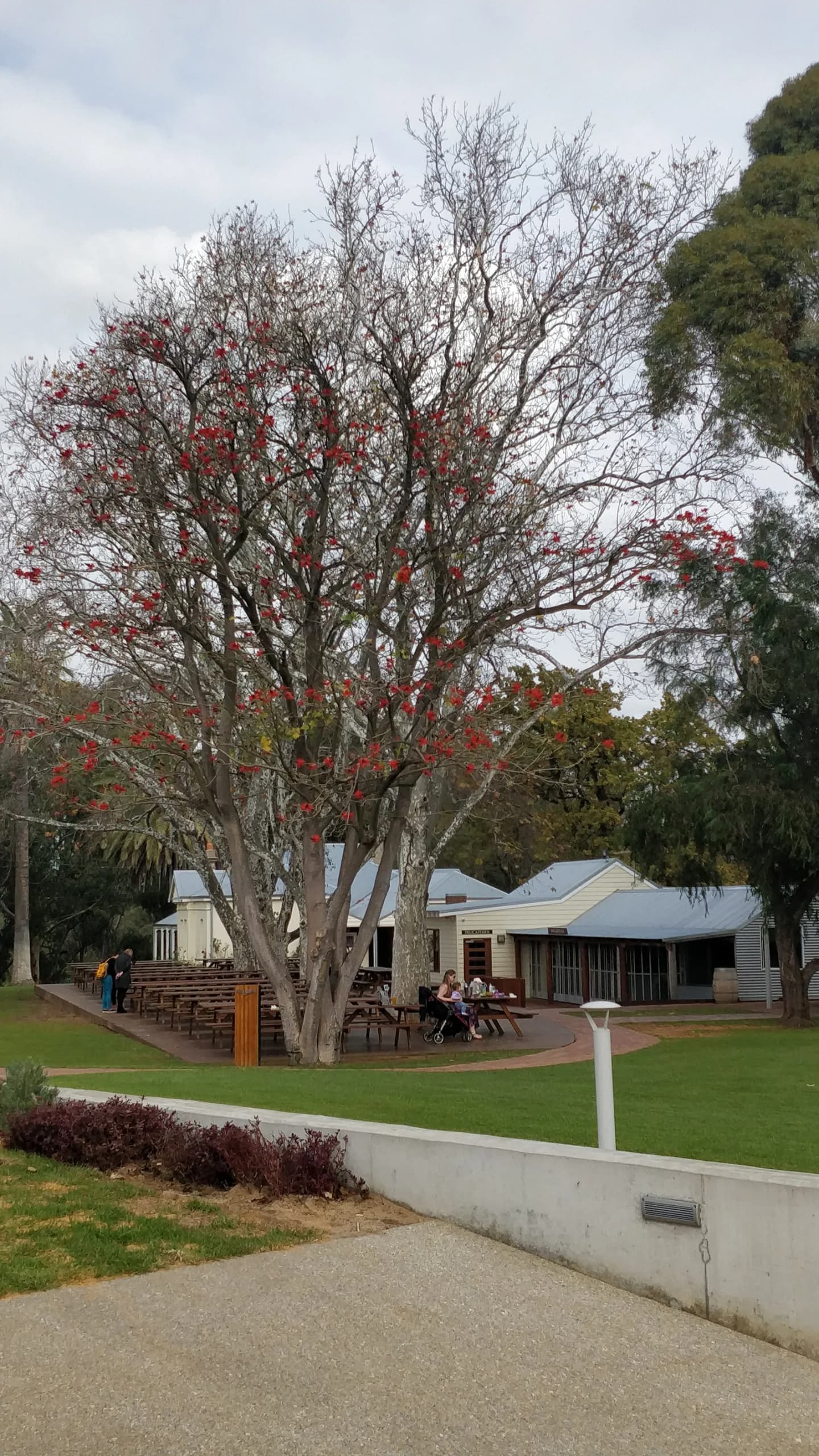 Willetton