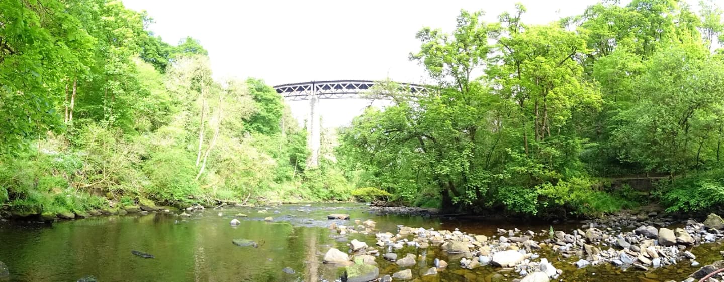 Larkhall