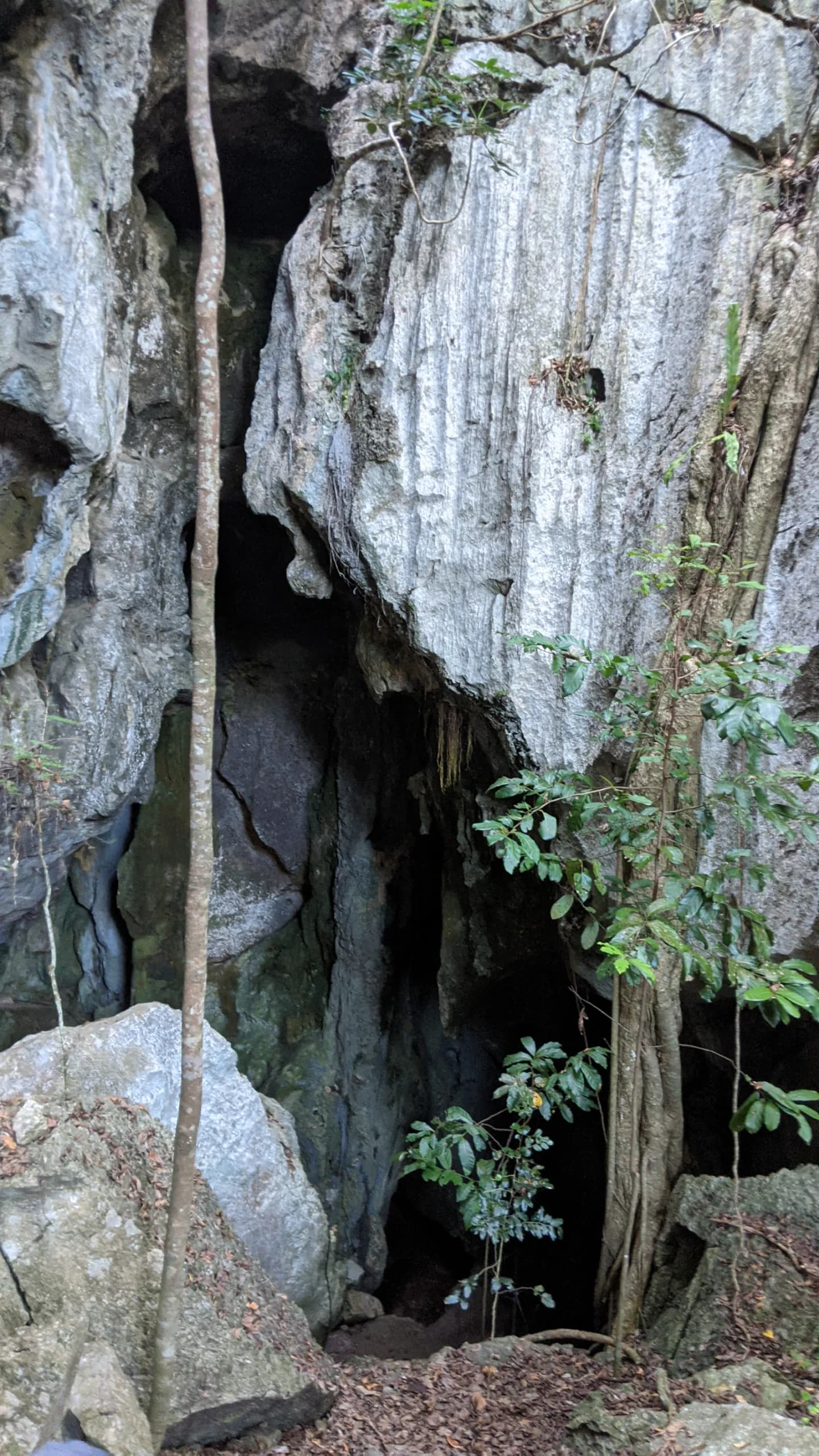 The Caves