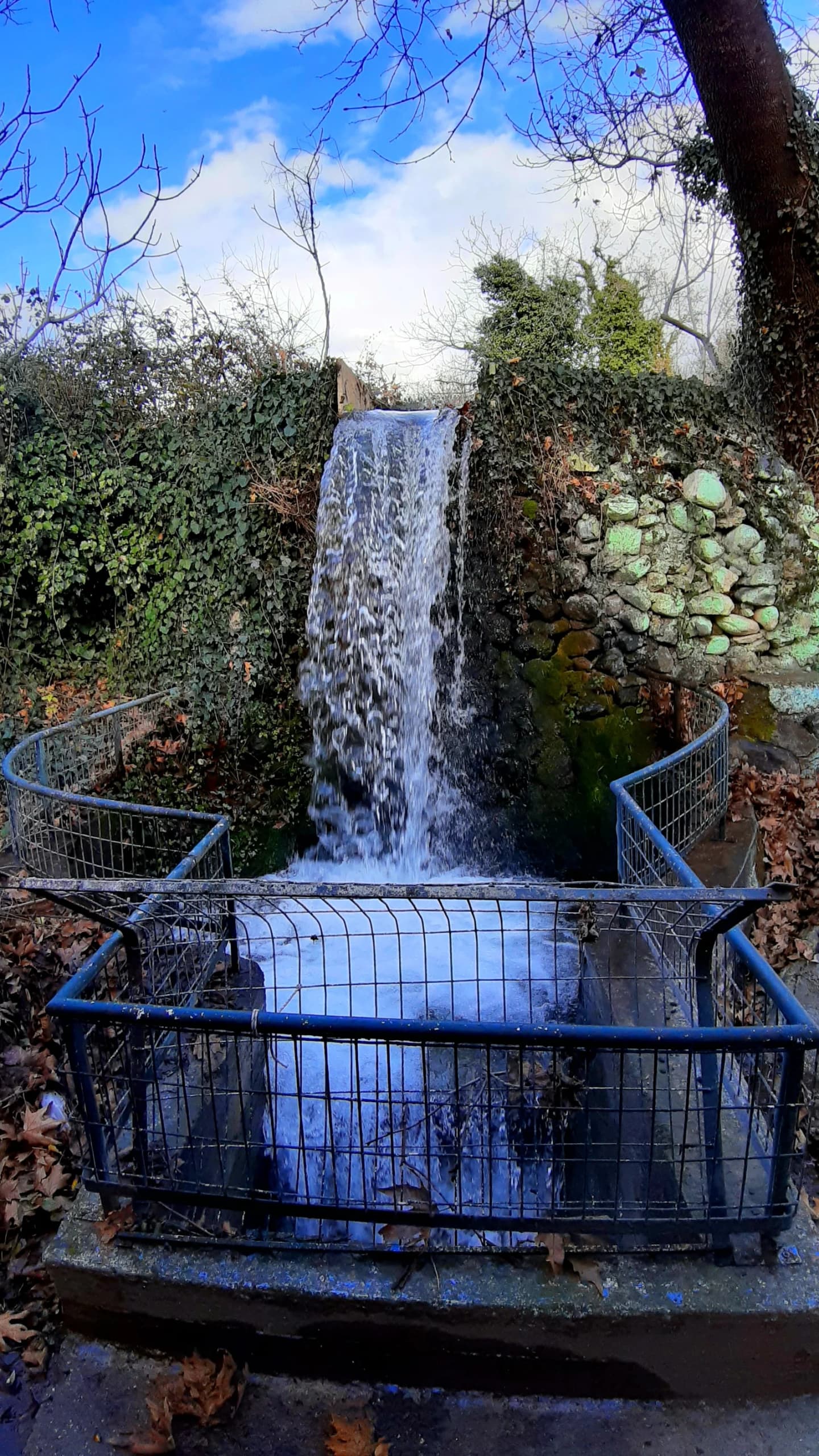 Voreinó