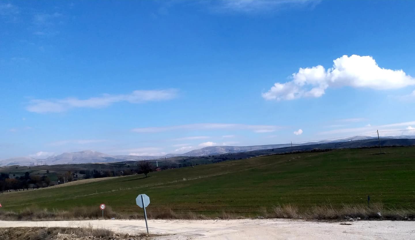 Avşar