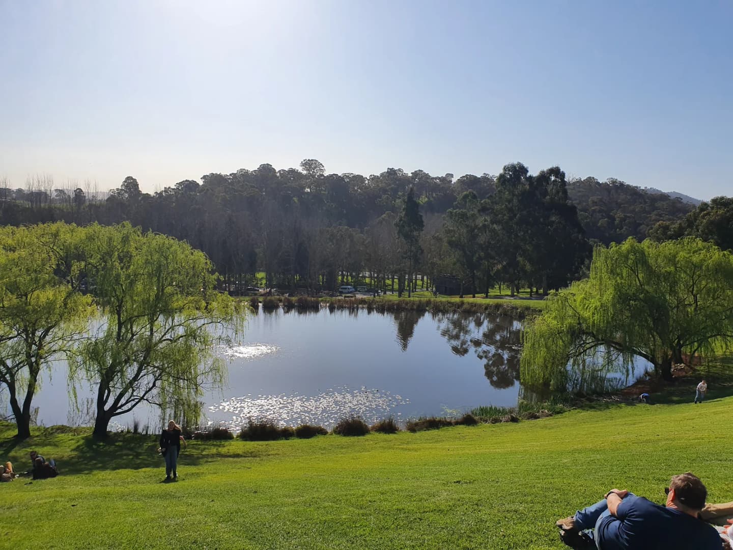 Tarrawarra