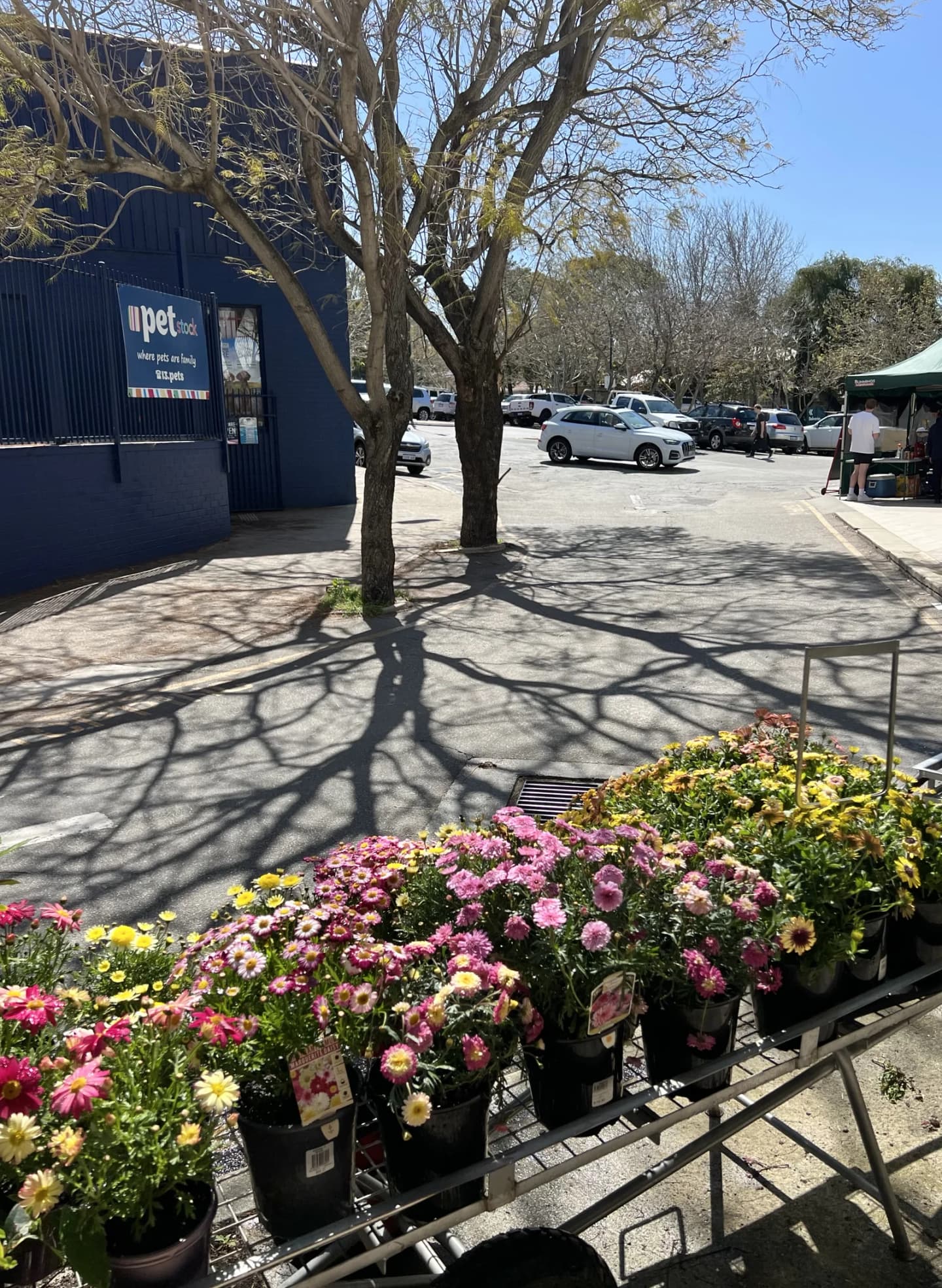 Claremont