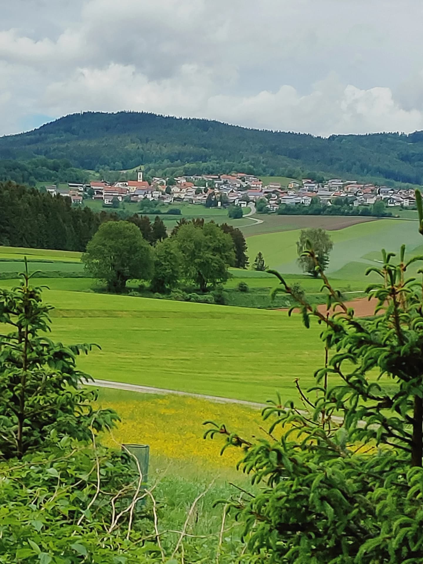 Kirchdorf im Wald