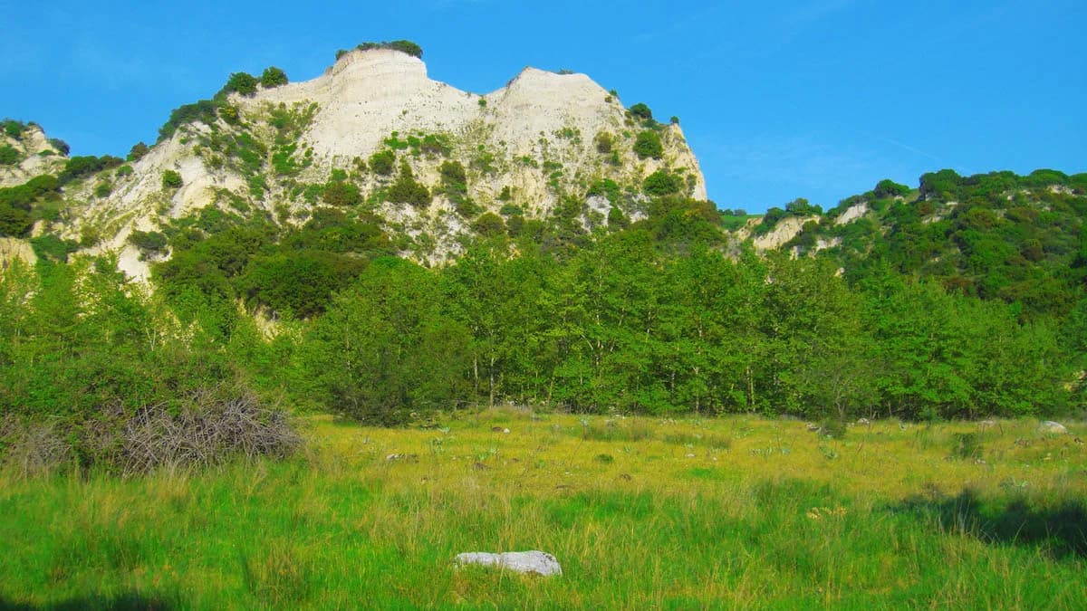 Melenikítsi