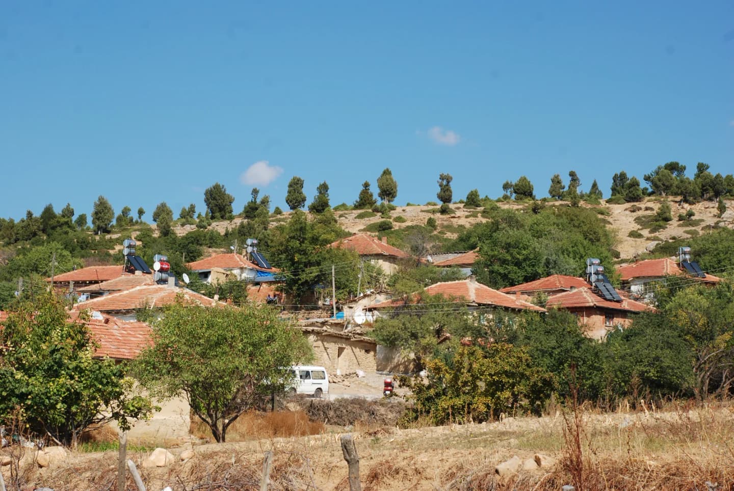 Ekinlik