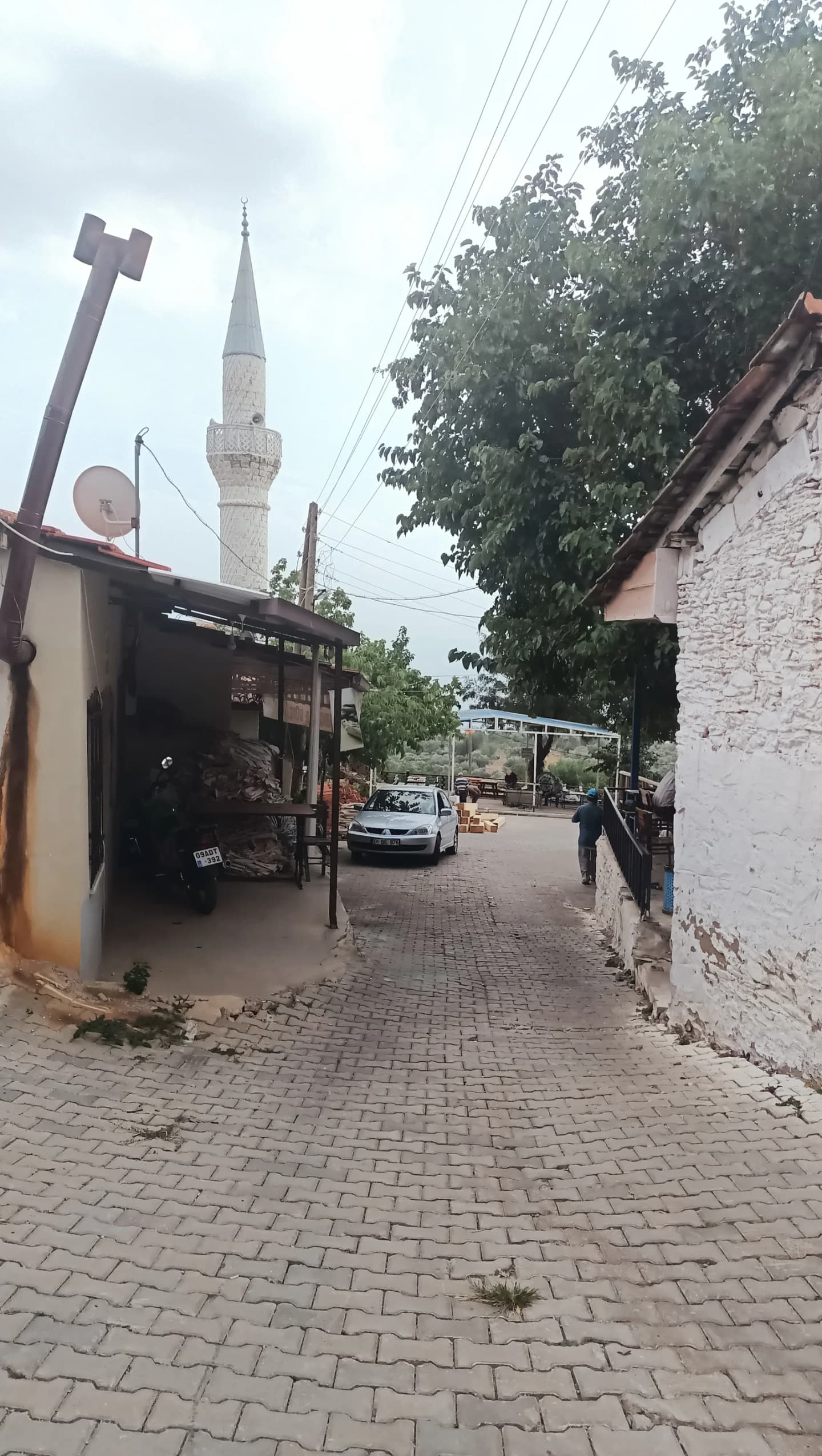 Kavaklı