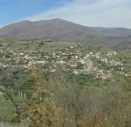 Demirhan