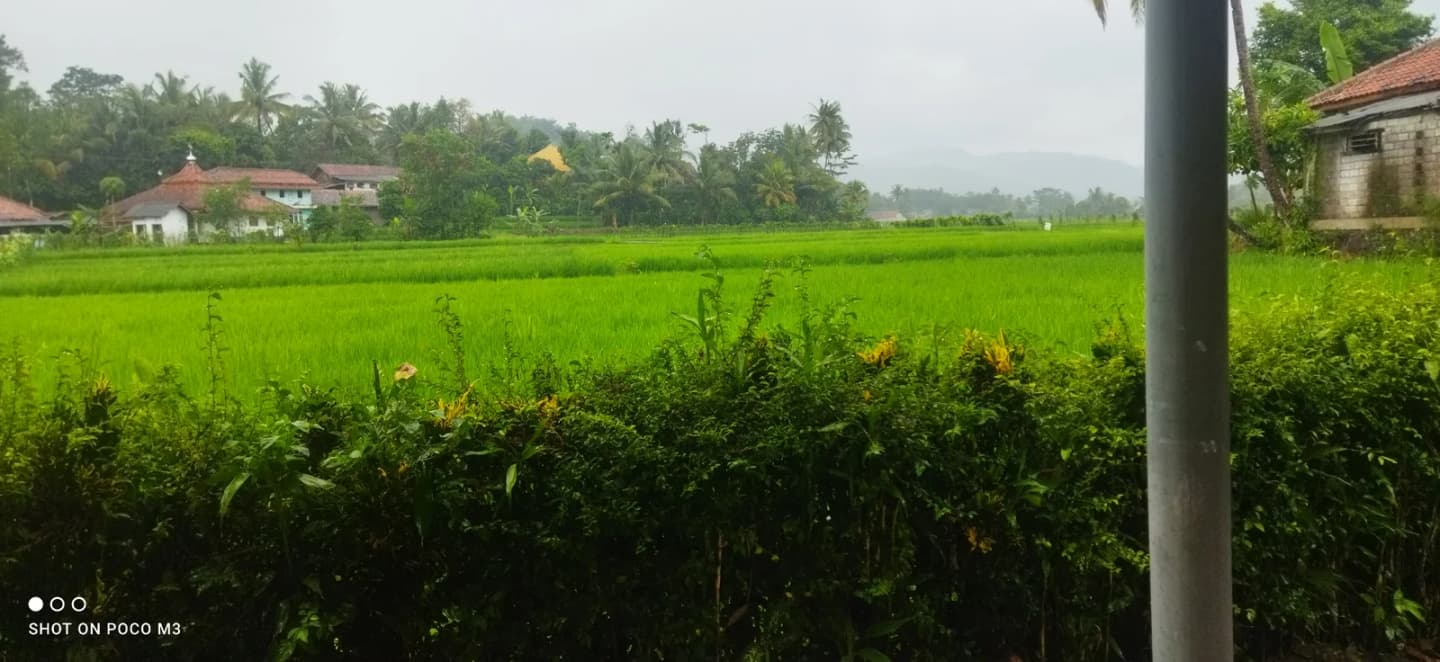 Ciranjang-hilir