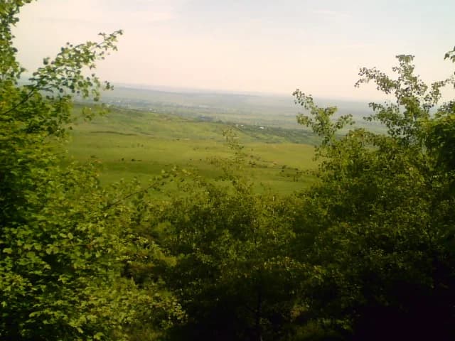 Frumuşica