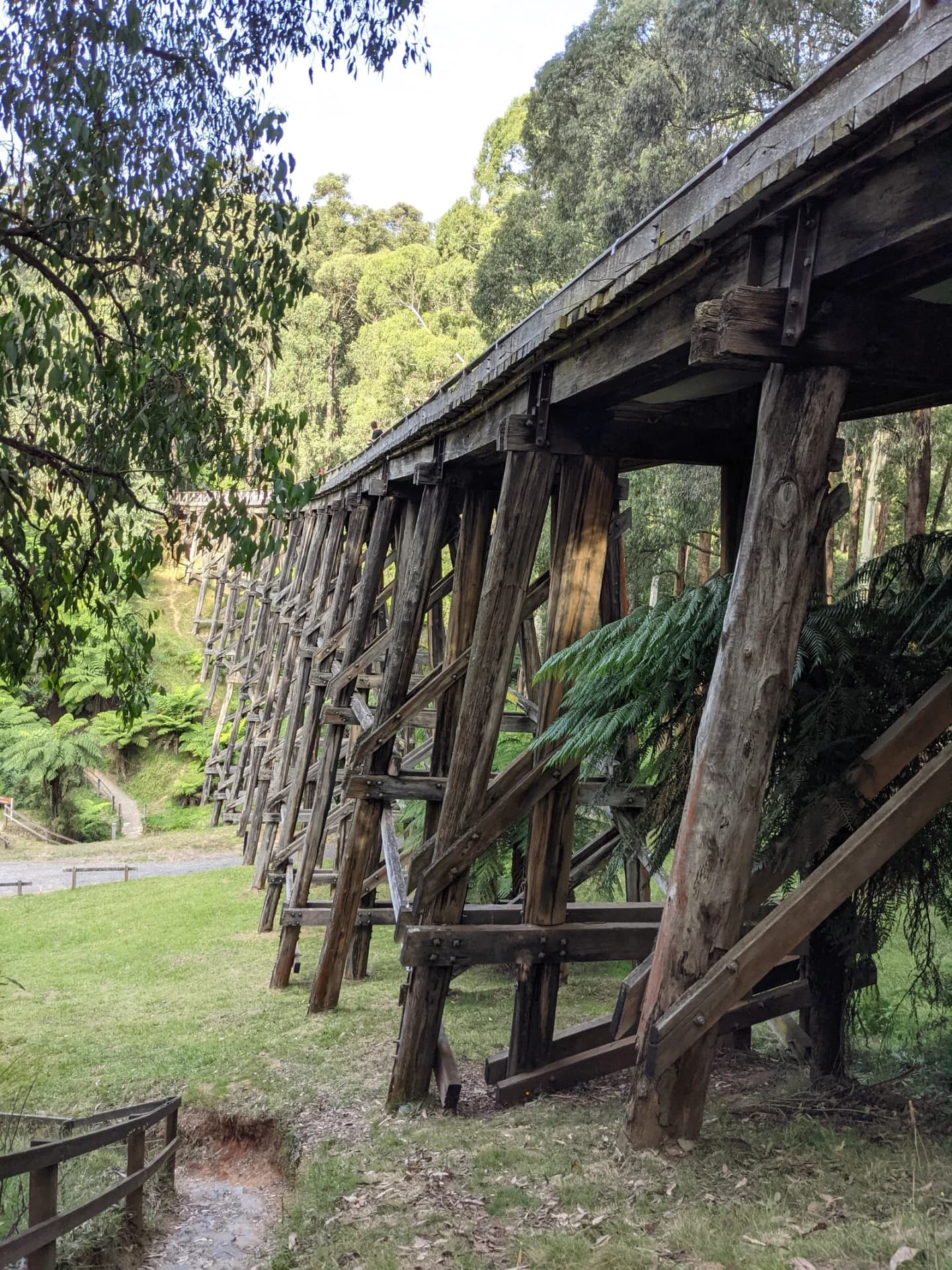Noojee
