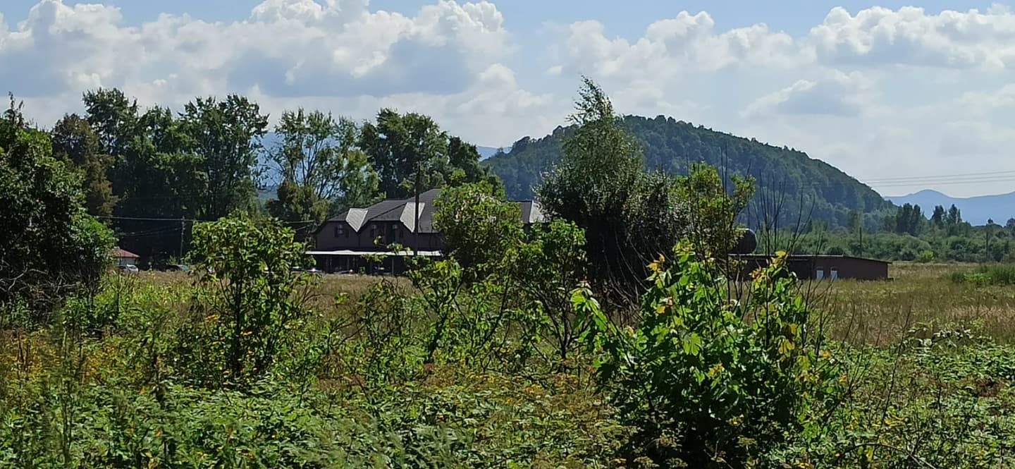 Tereblia