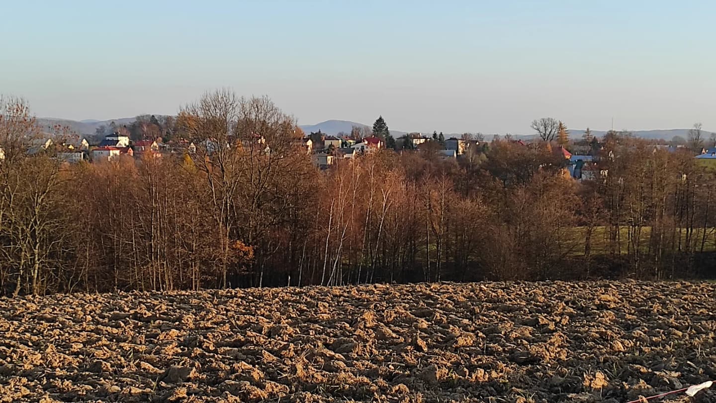 Stara Wieś