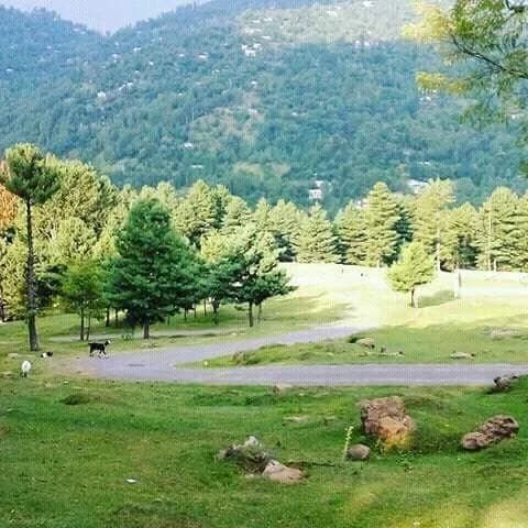 Dhirkot