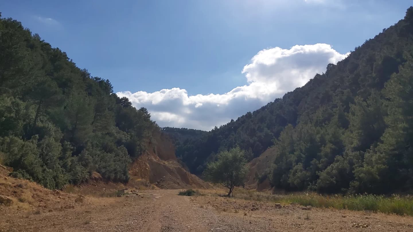Yeşilçat