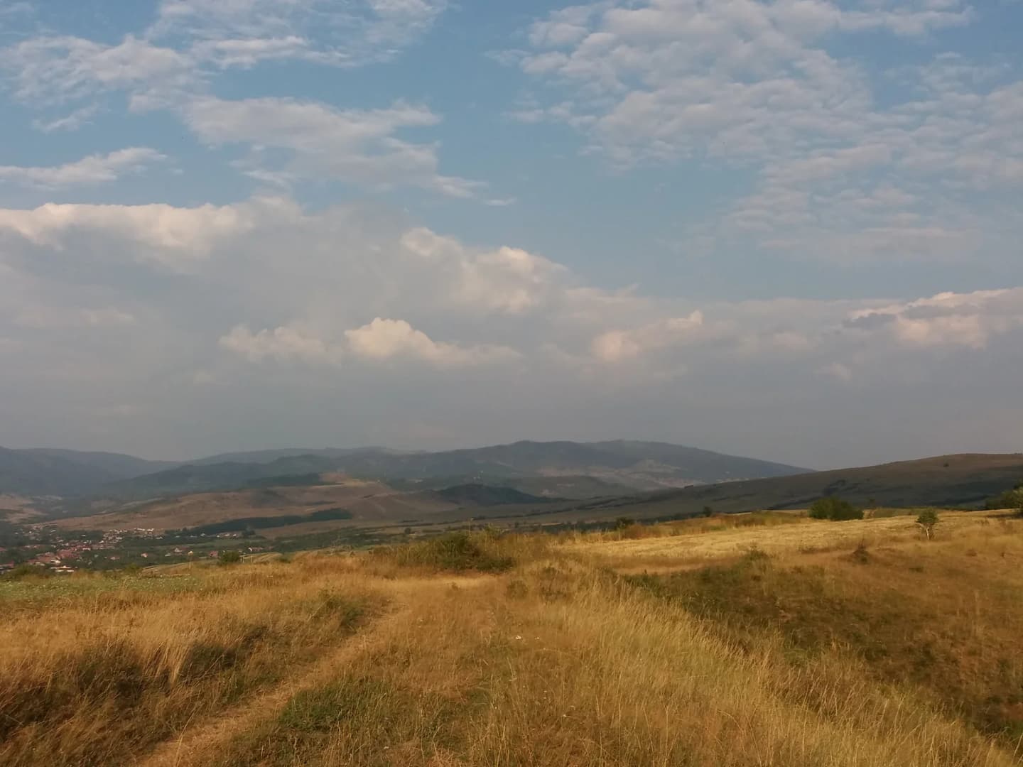 Dumitrița