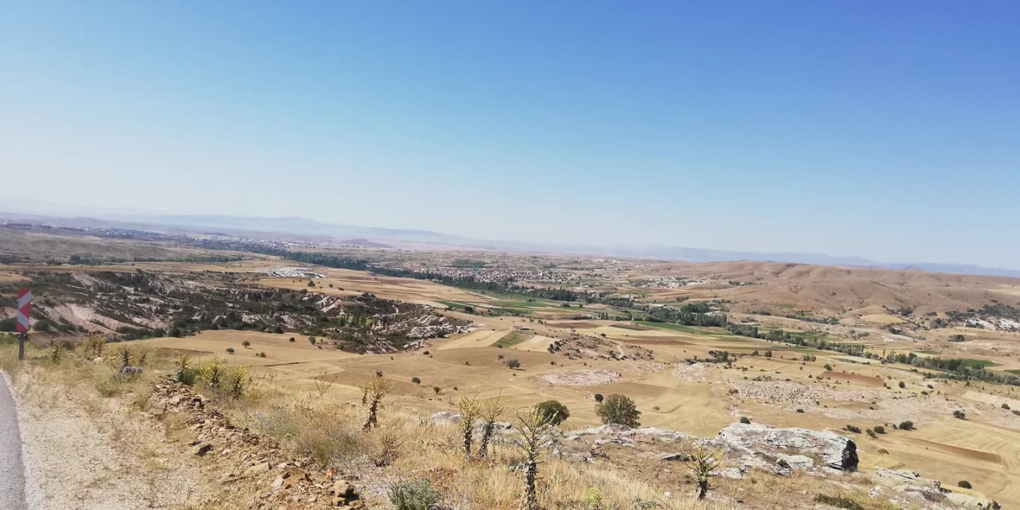 Karaağaç